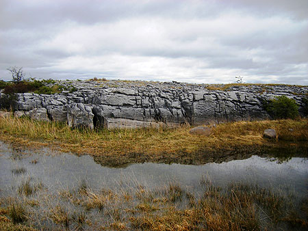 Burren epikarst - Photo by Colin O'Reilly