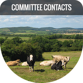 Committee Contacts